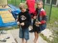 2007 Sommer
